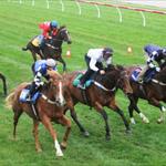 Flemington Jump Outs @ Werribee - 3 June 2016